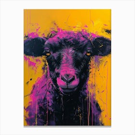 'Black Sheep' Canvas Print