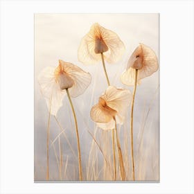 Boho Dried Flowers Flamingo Flower 1 Canvas Print