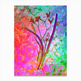 Anigozanthos Flavida Botanical in Acid Neon Pink Green and Blue Canvas Print