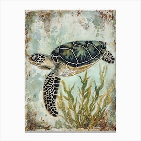 Vintage Sea Turtle In The Seaweed 1 Canvas Print