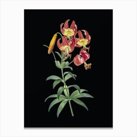 Vintage Turban Lily Botanical Illustration on Solid Black n.0659 Canvas Print