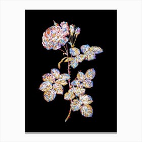 Stained Glass Damask Rose Mosaic Botanical Illustration on Black n.0189 Canvas Print