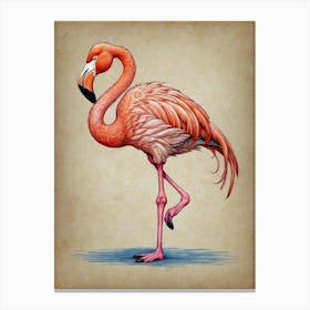Flamingo 9 Canvas Print
