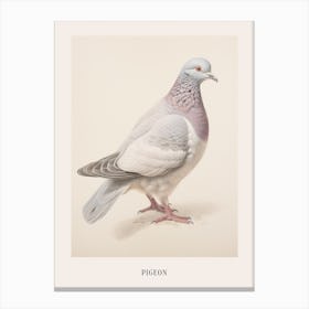 Vintage Bird Drawing Pigeon 2 Poster Canvas Print