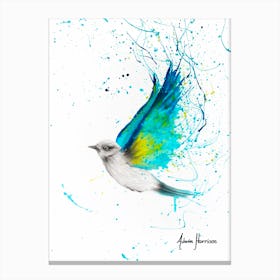Humble Bird Canvas Print