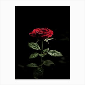 Dark Rose 148 Canvas Print