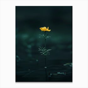 Single Yellow Flower In Water 4 Canvas Print