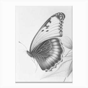 Butterfly In Migration Greyscale Sketch 1 Canvas Print