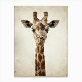 Giraffe 64 Canvas Print