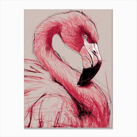 Flamingo 19 Canvas Print