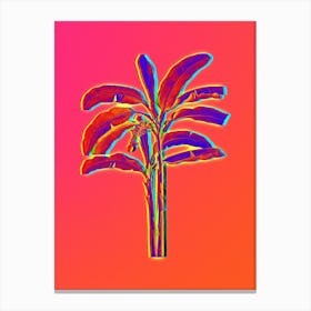 Neon Banana Tree Botanical in Hot Pink and Electric Blue n.0438 Canvas Print