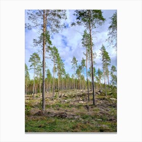 Swedish forrest 40901 Canvas Print