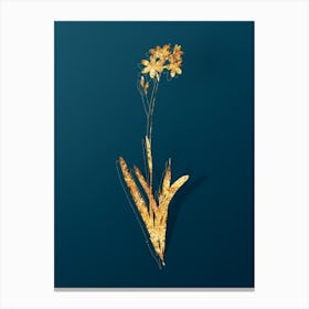 Vintage Corn Lily Botanical in Gold on Teal Blue n.0264 Canvas Print