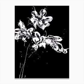 White Flower Black Background Painting 2 Canvas Print