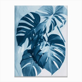 Monstera IV Canvas Print