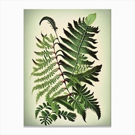 Japanese Climbing Fern 1 Vintage Botanical Poster Canvas Print