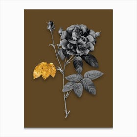 Vintage French Rose Black and White Gold Leaf Floral Art on Coffee Brown n.0008 Canvas Print