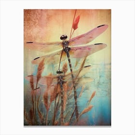Dragonfly Wetlands Illustration  2 Canvas Print