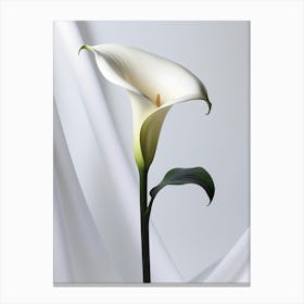 Calla Lily 6 Canvas Print