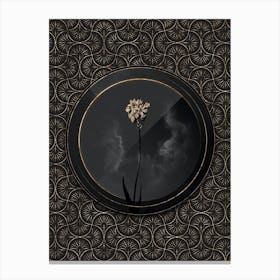 Shadowy Vintage Chincherinchee Botanical on Black with Gold n.0172 Canvas Print