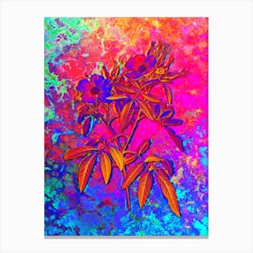 Pink Swamp Roses Botanical in Acid Neon Pink Green and Blue Canvas Print