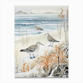 Winter Bird Painting Dunlin 2 Canvas Print