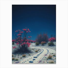 Path In The Desert Canvas Print