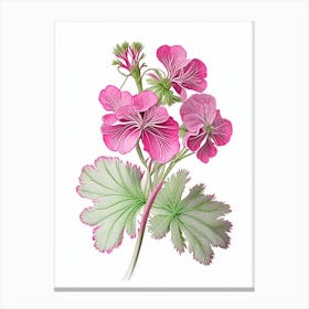 Geranium Floral Quentin Blake Inspired Illustration 2 Flower Canvas Print