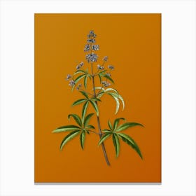 Vintage Chaste Tree Botanical on Sunset Orange Canvas Print