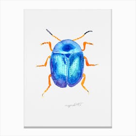 Colaphus sophiae, a leaf beetle, watercolor artwork Canvas Print