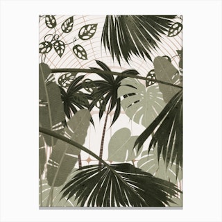 Palm House Canvas Print