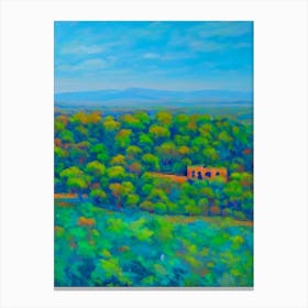 Ranthambore National Park India Blue Oil Painting 2  Canvas Print
