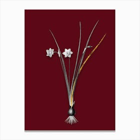 Vintage Daffodil Black and White Gold Leaf Floral Art on Burgundy Red n.0588 Canvas Print