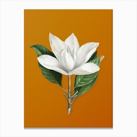 Vintage White Southern Magnolia Botanical on Sunset Orange n.0083 Canvas Print