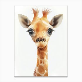 Baby Giraffe Canvas Print