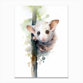 Light Watercolor Painting Of A Hanging Possum 1 Canvas Print