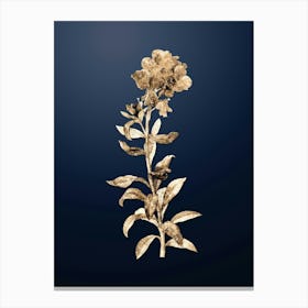 Gold Botanical Yellow Wallflower Bloom on Midnight Navy n.3304 Canvas Print