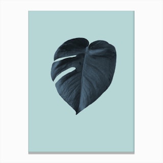 Monstera 1 Canvas Print