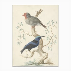 Two Birds Perched On A Branch 1 Canvas Print