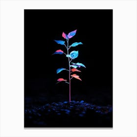 Neon Plant 3 Canvas Print