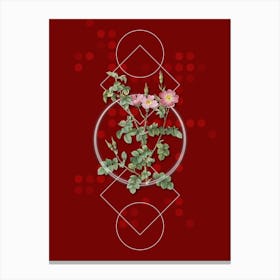 Vintage Prickly Sweetbriar Rose Botanical with Geometric Line Motif and Dot Pattern n.0240 Canvas Print