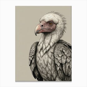 Vulture 1 Canvas Print