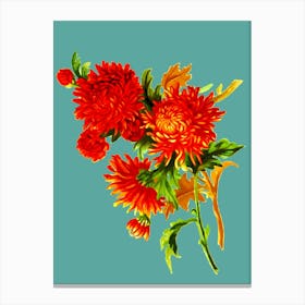 Chrysanthemums 1 Canvas Print