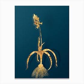 Vintage Common Bluebell Botanical in Gold on Teal Blue n.0016 Canvas Print
