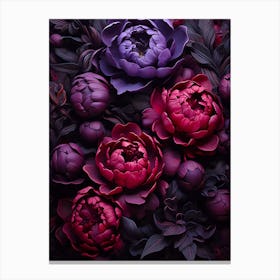 Peonies In Purple And Black Canvas Print