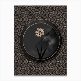 Shadowy Vintage Ixia Maculata Botanical in Black and Gold n.0058 Canvas Print
