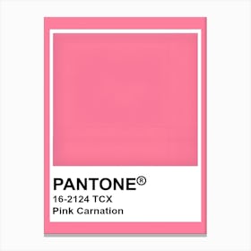 Pink Carnation Canvas Print