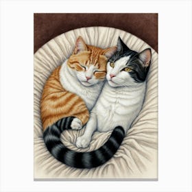 Two Cats In Bed Canvas Print