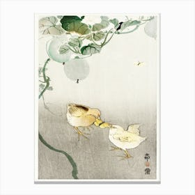 Two Chicks Fighting For A Butterfly (1900 1910), Ohara Koson Canvas Print