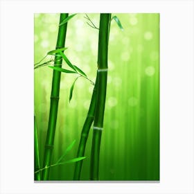 Bamboo Stock Videos & Royalty-Free Footage Canvas Print